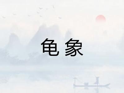 龟象