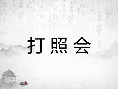 打照会