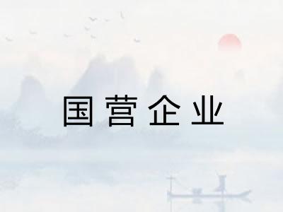 国营企业