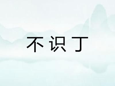 不识丁