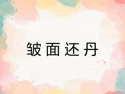 皱面还丹