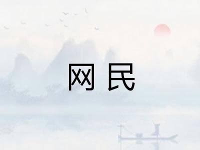 网民