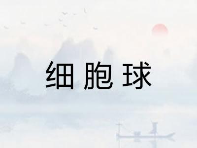 细胞球