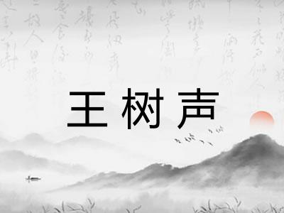 王树声