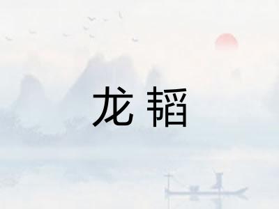 龙韬