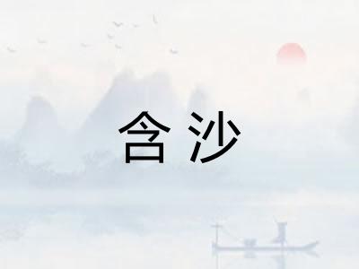 含沙