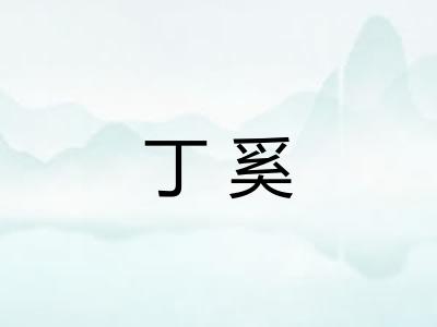 丁奚