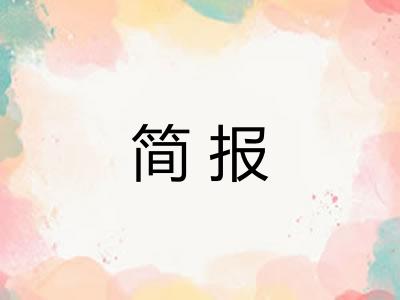 简报