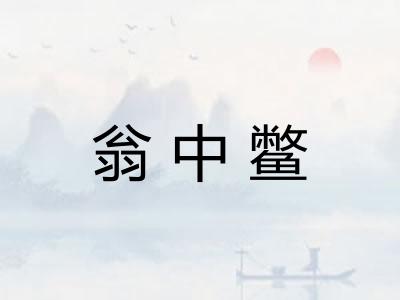 翁中鳖