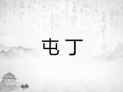 屯丁