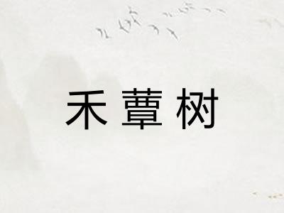 禾蕈树