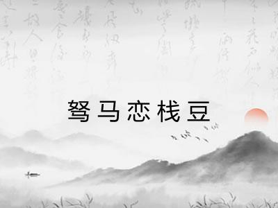 驽马恋栈豆