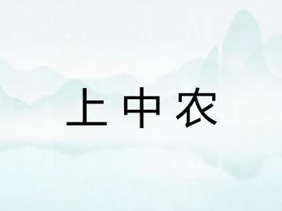 上中农