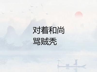 对着和尚骂贼秃