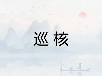 巡核