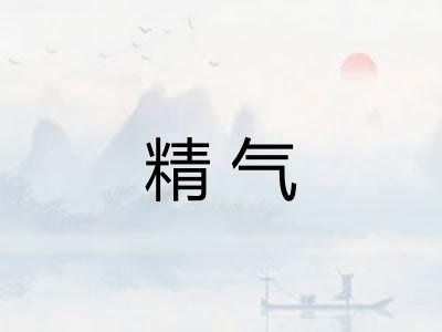 精气