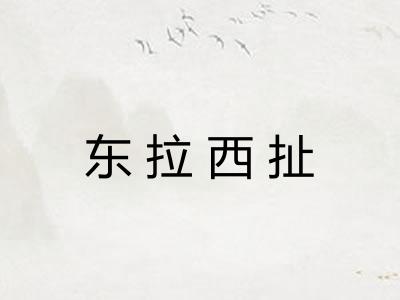 东拉西扯