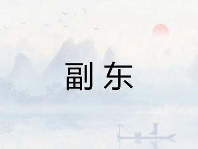 副东