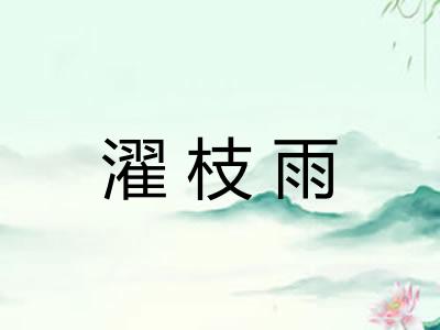 濯枝雨