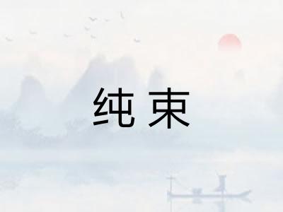 纯束