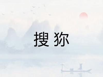 搜狝