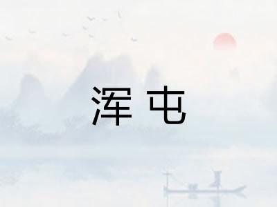 浑屯