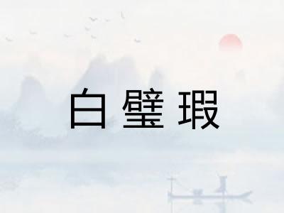 白璧瑕