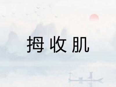 拇收肌