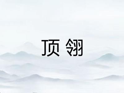 顶翎