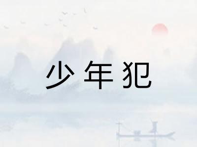 少年犯