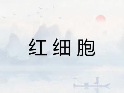 红细胞