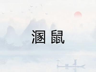 溷鼠