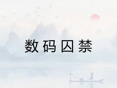 数码囚禁