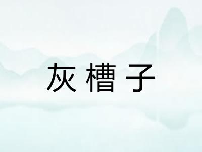 灰槽子