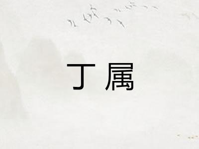 丁属