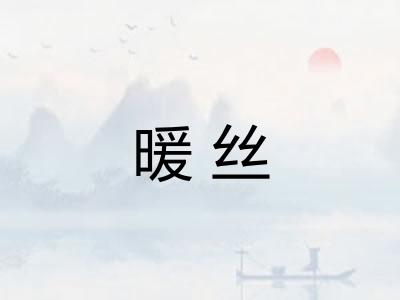 暖丝