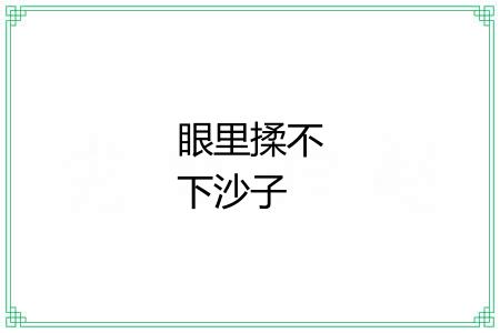 眼里揉不下沙子