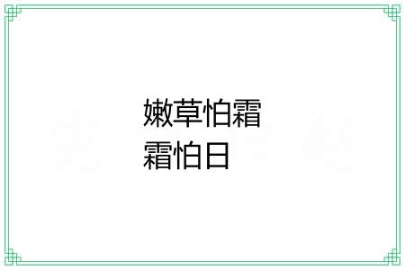 嫩草怕霜霜怕日