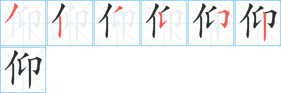 仰的笔顺分步演示图