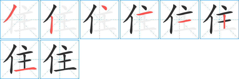 住的笔顺分步演示图