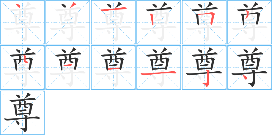 尊的笔顺分步演示图