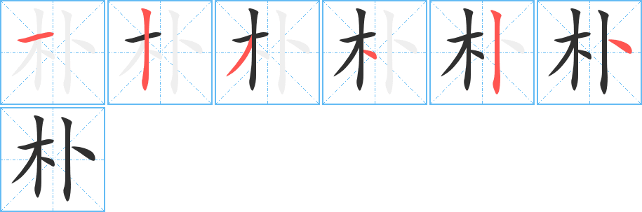 朴的笔顺分步演示图