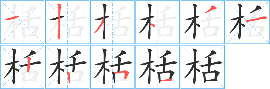 栝的笔顺分步演示图