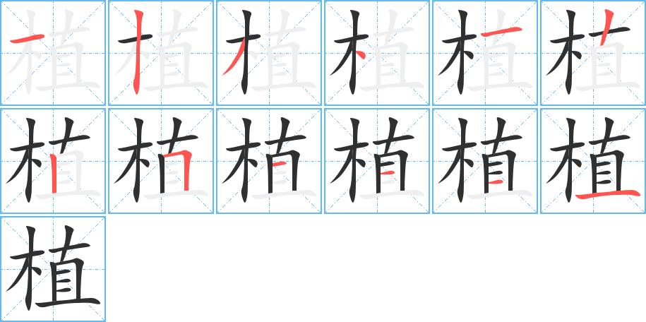 植的笔顺分步演示图