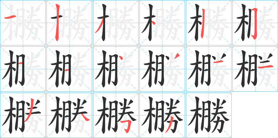 橳的笔顺分步演示图