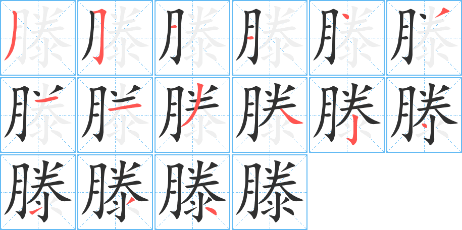 滕的笔顺分步演示图