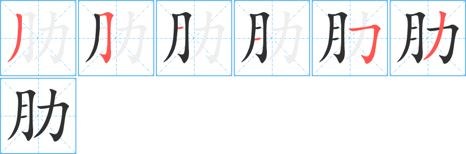 肋的笔顺分步演示图