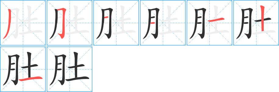 肚的笔顺分步演示图