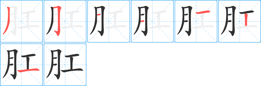 肛的笔顺分步演示图