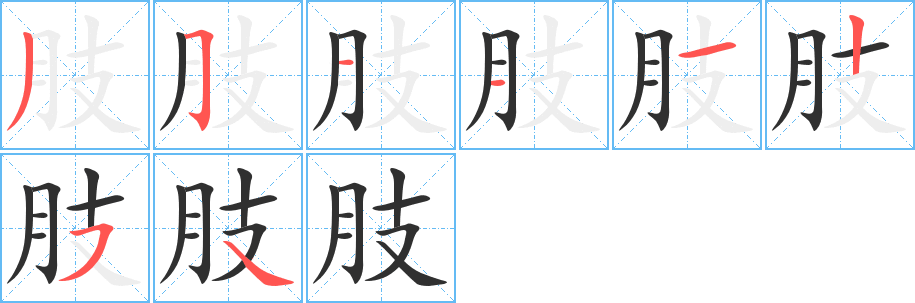 肢的笔顺分步演示图